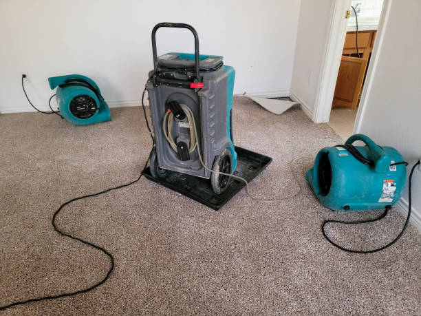 Best Fire Damage Restoration  in Junction City, KY