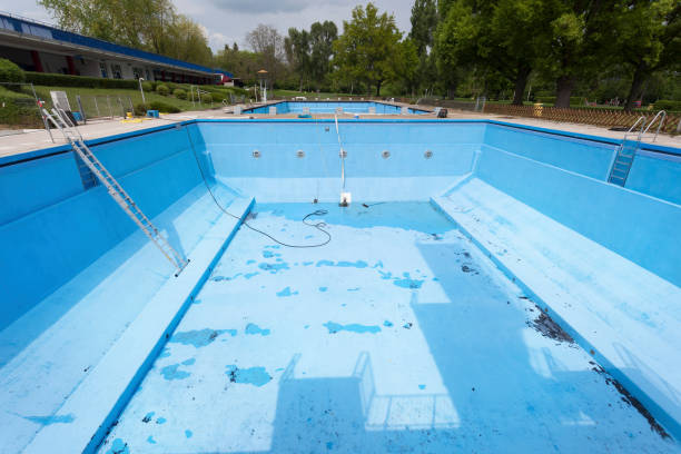 Best Carpet water damage restoration  in Junction City, KY