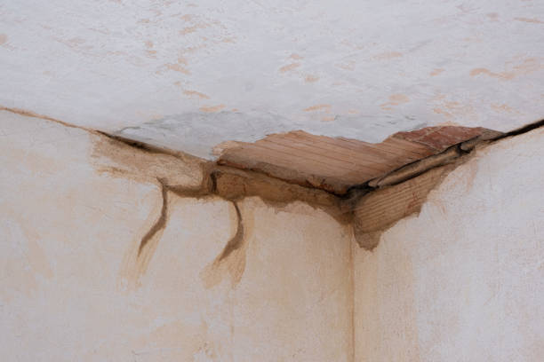 Best Basement water damage restoration  in Junction City, KY