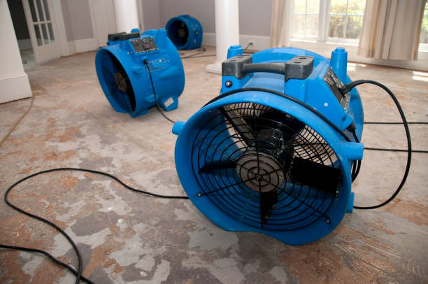 Best Water damage repair service  in Junction City, KY