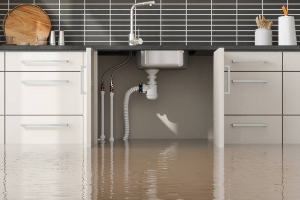  Junction City, KY Water damage restoration Pros