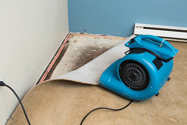 Best Flood restoration services  in Junction City, KY